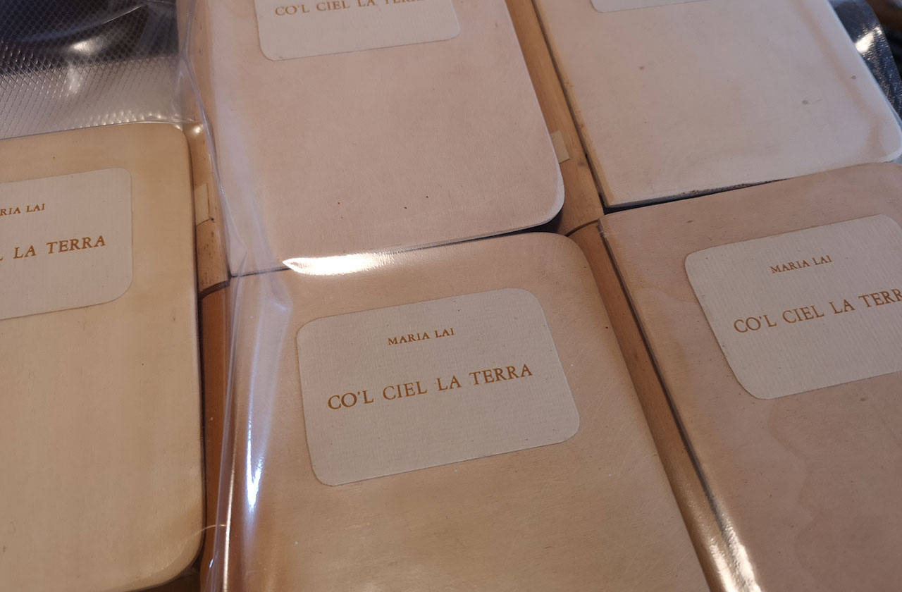 Trattamento libri e biblioteche in Sardegna